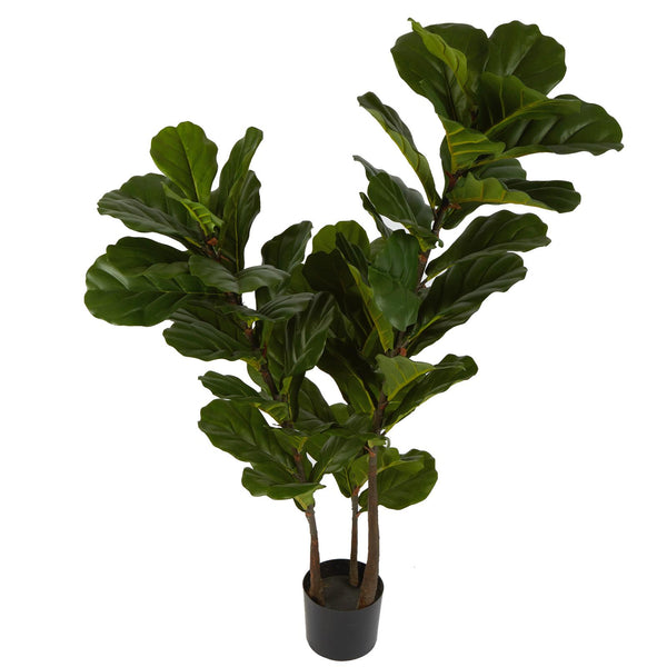 Fiddle Leaf Tree 1.33M