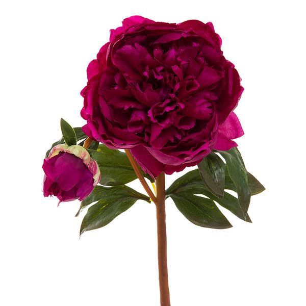 Peony Short Stem 55cm Fuchsia